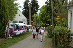 DSC_0002 (2)